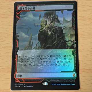 MTG 樹木茂る山麓 エクスペディション日本語版FOIL Foil】《樹木茂る山麓/Wooded Foothills》[EXP] 土地R | 日本