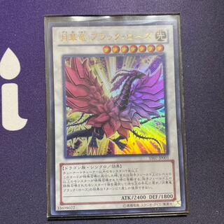 月華竜 ブラック・ローズ