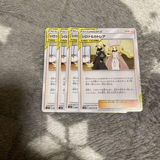 シロナ＆カトレア