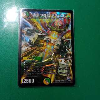 族長の魂友 ワチャゴナ