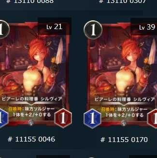 シルバー2枚　ピアーレの料理番 シルヴィア