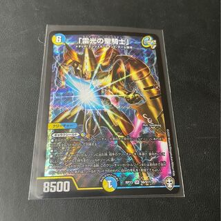 「雷光の聖騎士」