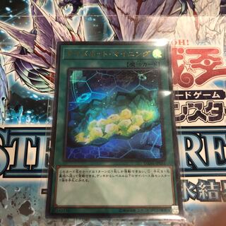 サイバネット・マイニング