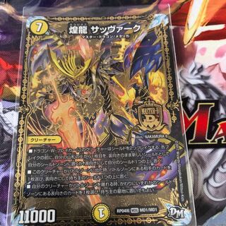 煌龍 サッヴァーク