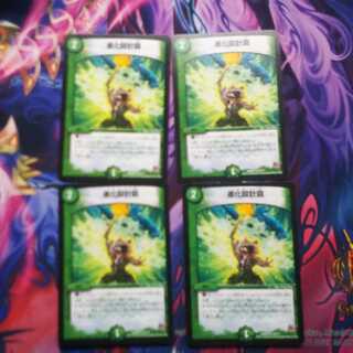 進化設計図 4枚