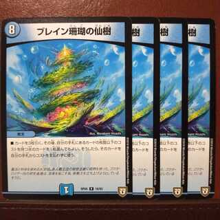 old1619　セット割引　ブレイン珊瑚の仙樹