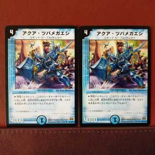 セット割引　アクア・ツバメガエシ