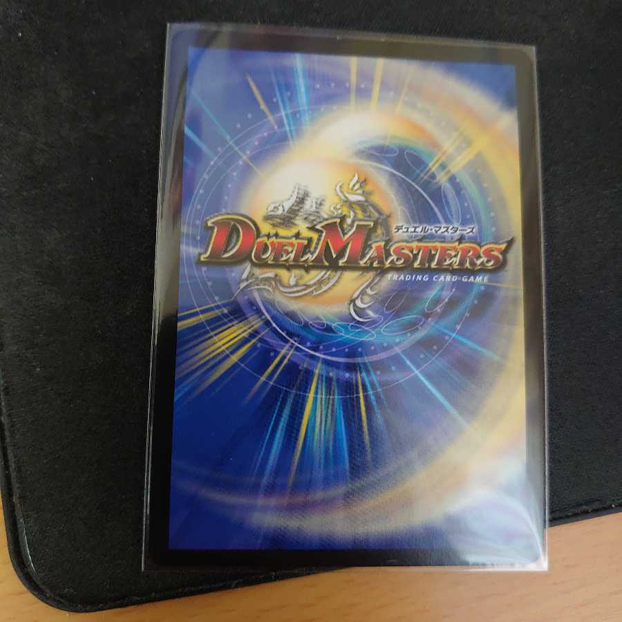 「修羅」の頂 VAN・ベートーベン　CSプロモ