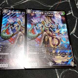 不死の墓守 シヴァンリンネ 2枚