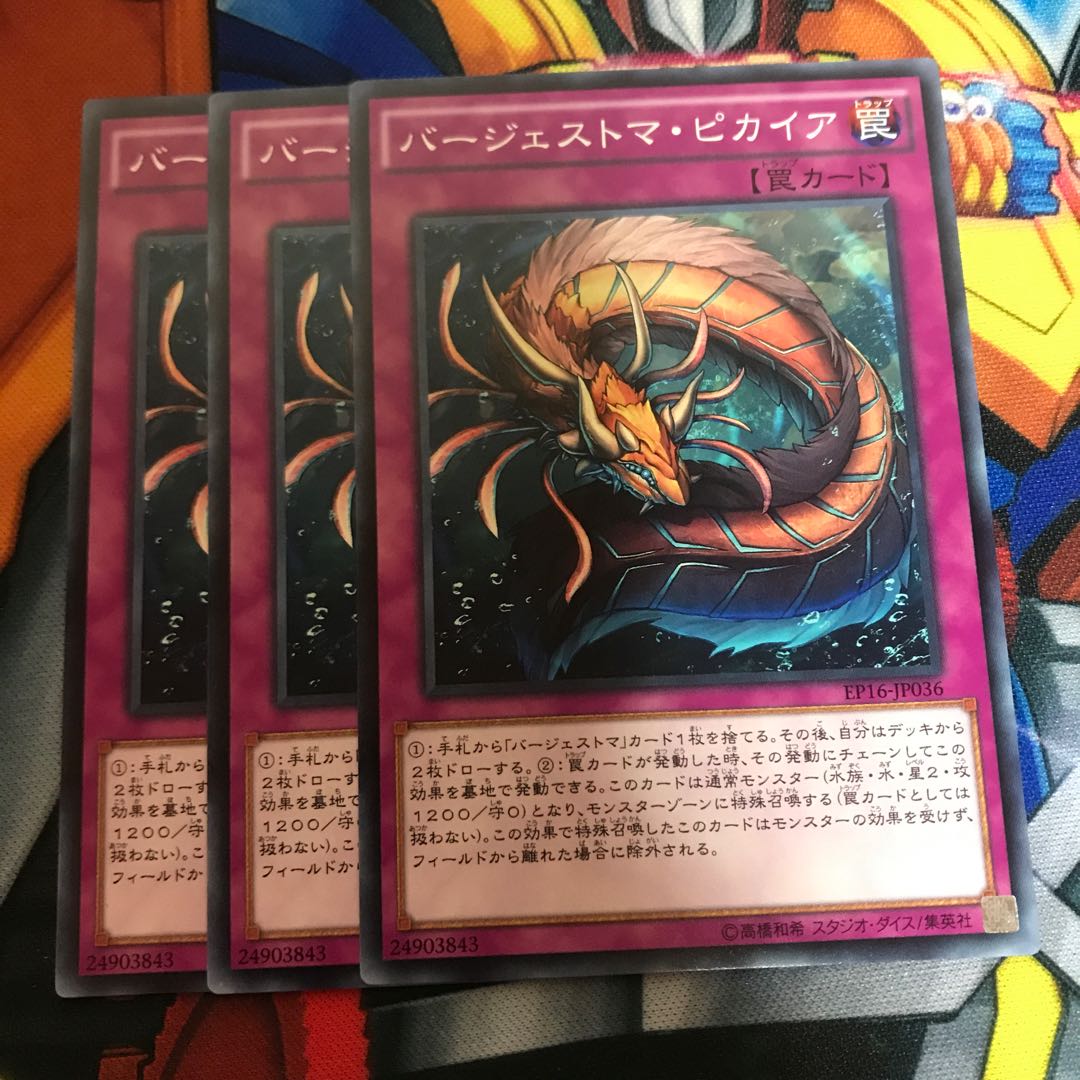 マドレース バージェストマ・ピカイア ノーマル