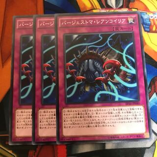 マドレース バージェストマ・レアンコイリア ノーマル