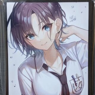 このスリーブ探しています。