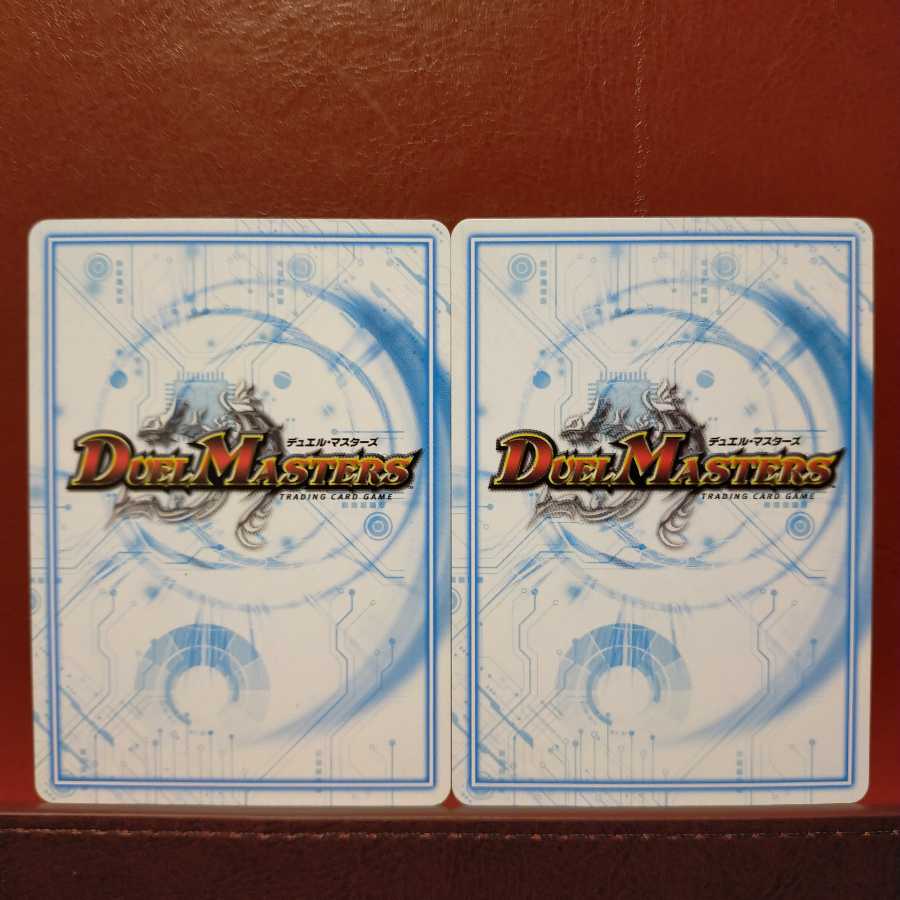 セット割引　甲殻 TS-10