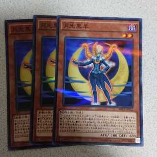 月光黒羊 パラレル ノーマル