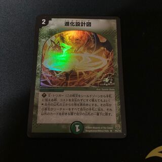 進化設計図 プロモ