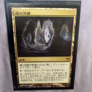 魂の洞窟　AVR SP