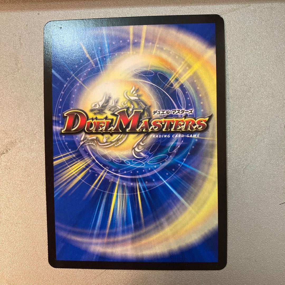 「絶対の楯騎士」