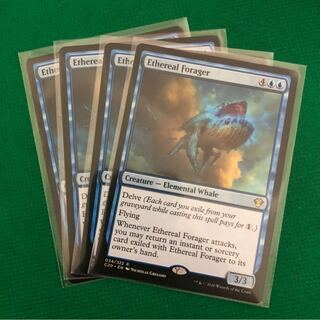 天上の餌あさり 英語版 4枚