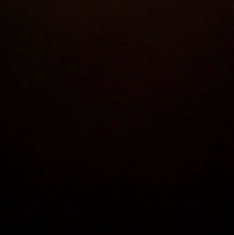 ノナン様専用 1枚