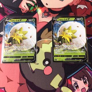 ★ワタシラガV 2枚セット