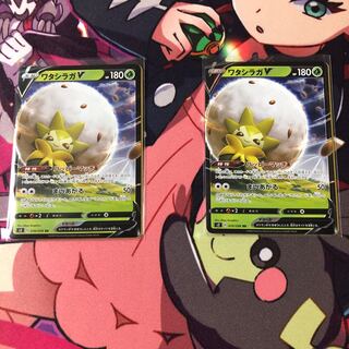 ワタシラガV 2枚セット