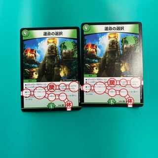 運命の選択　2枚セット
