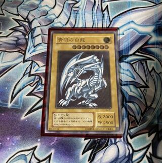 青眼の白龍　レリーフ