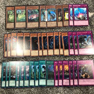 未界域デッキ 環境デッキ 大会入賞あり