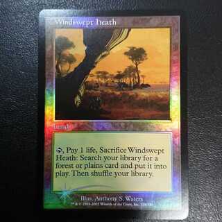 【タイムセール2000円値引き中】吹きさらしの荒野 英語版Foil１枚