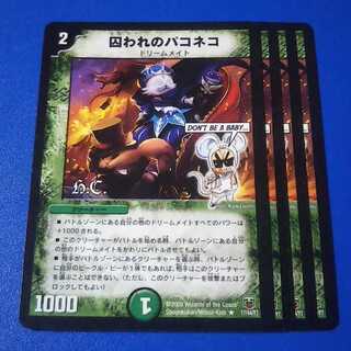 囚われのパコネコ　4枚【管理番号b】