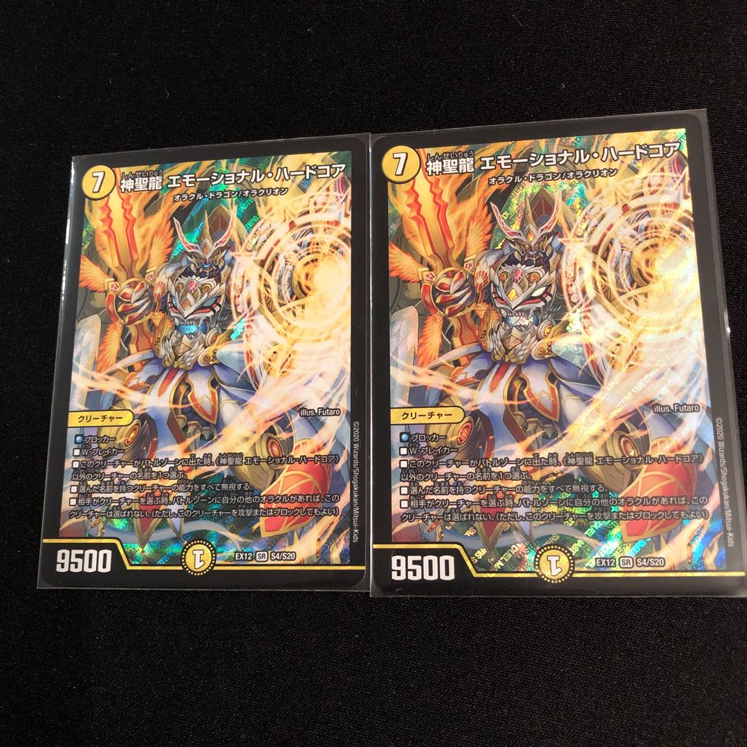 神聖龍 エモーショナル・ハードコア