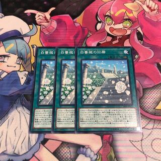 白薔薇の回廊 ノーマル3枚セット