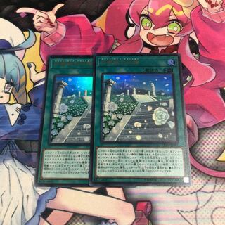 白薔薇の回廊 ウルトラレア2枚セット