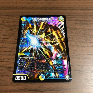 「雷光の聖騎士」