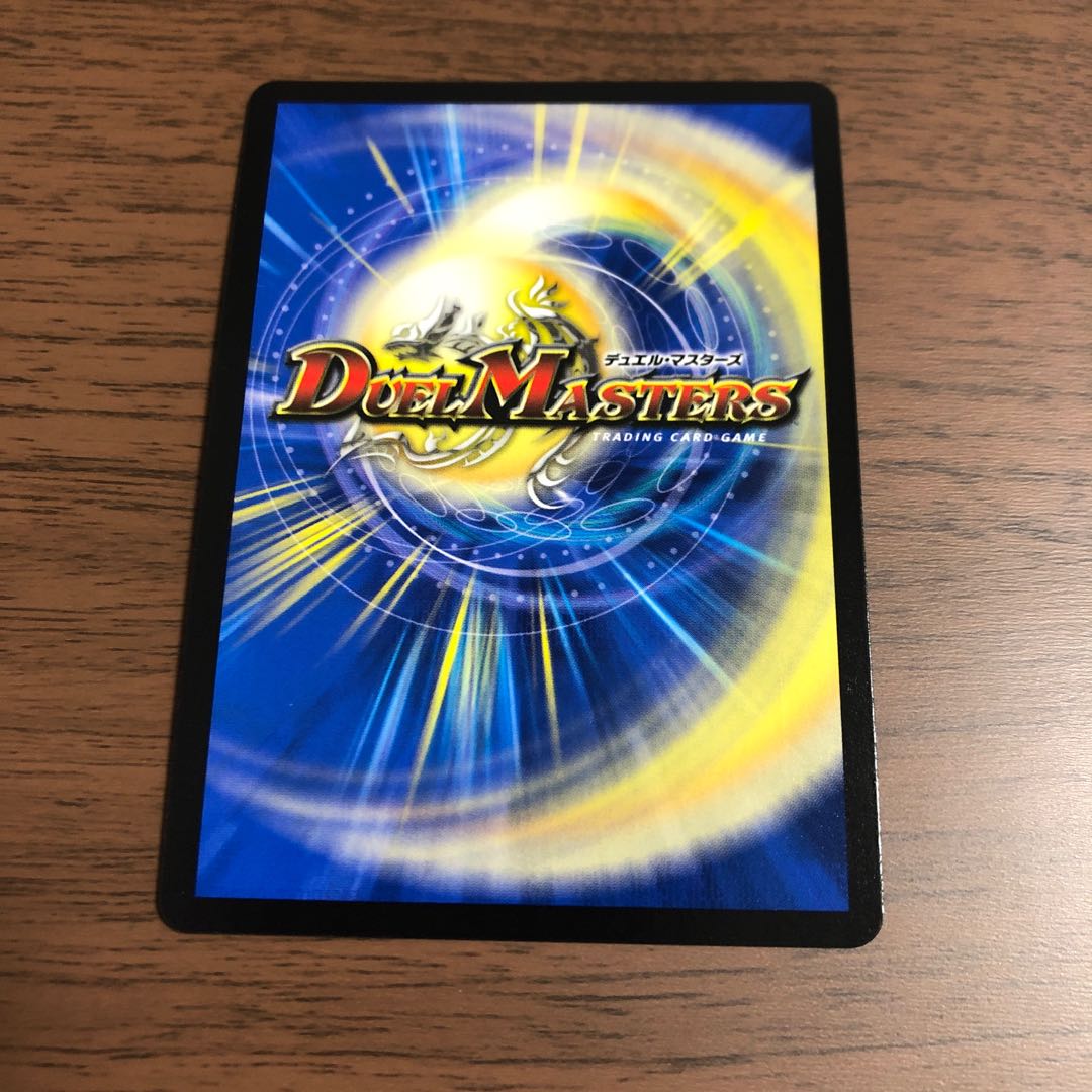 「雷光の聖騎士」