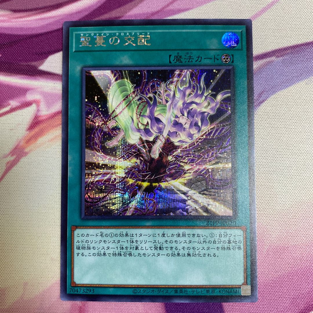 聖蔓の交配 シークレットレア