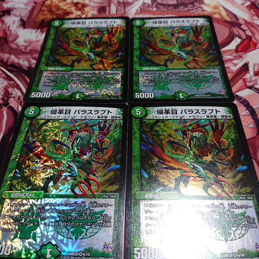 パラスラプト 4枚