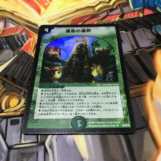 運命の選択(C.C)