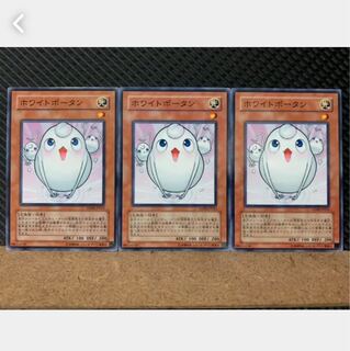Popotan] Yu-Gi-Oh! 4476 White Potan 3 normal