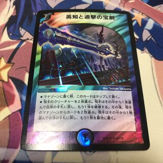 英知と追撃の宝剣