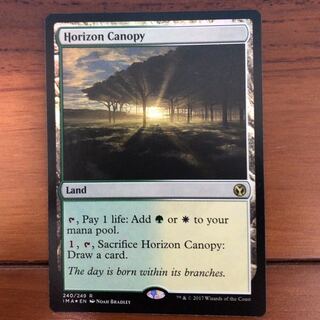 地平線の梢 foil 英語