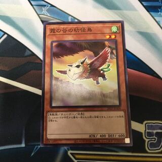 霞の谷の幼怪鳥 ノーマル