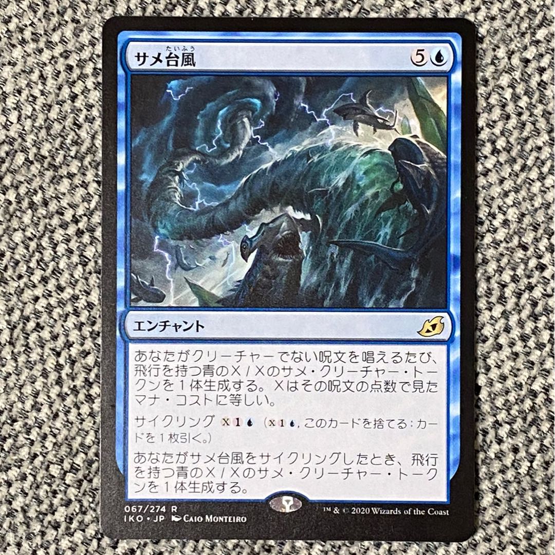 サメ台風［IKO］