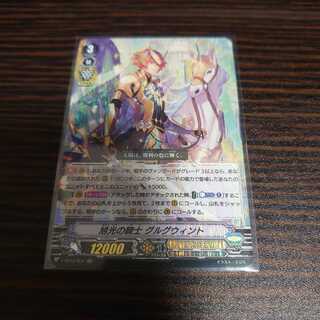 Knight of the Rising Sun Gurgwint VR Tenkishin Lightning