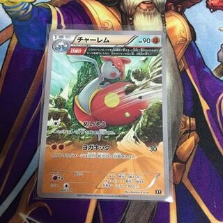 ササキ様専用 チャーレム