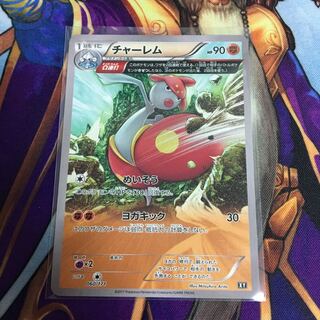 ササキ様専用 チャーレム