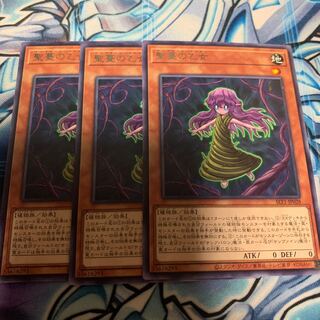 Sunvine Maiden Rare