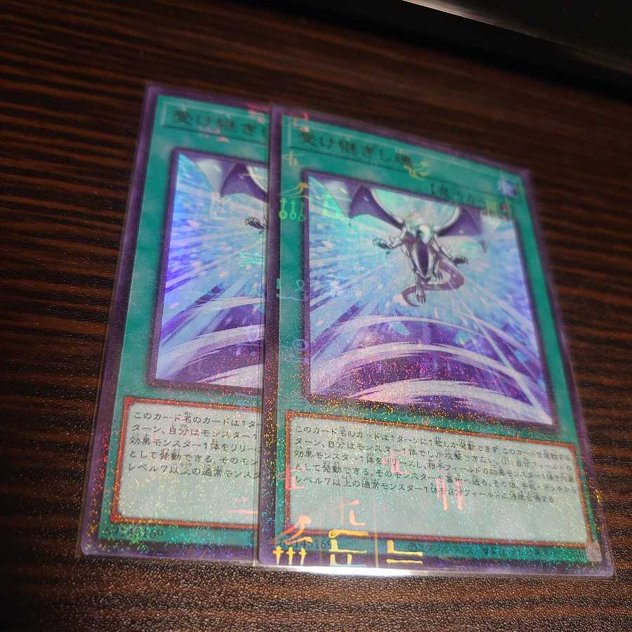 受け継ぎし魂 ミレニアムウルトラレア　2枚