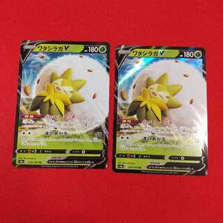 ワタシラガV RR 2枚セット