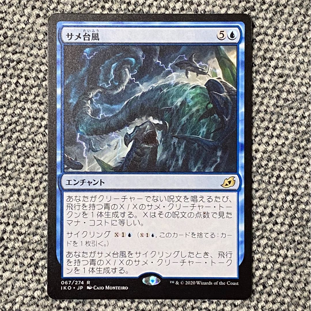 サメ台風［IKO］